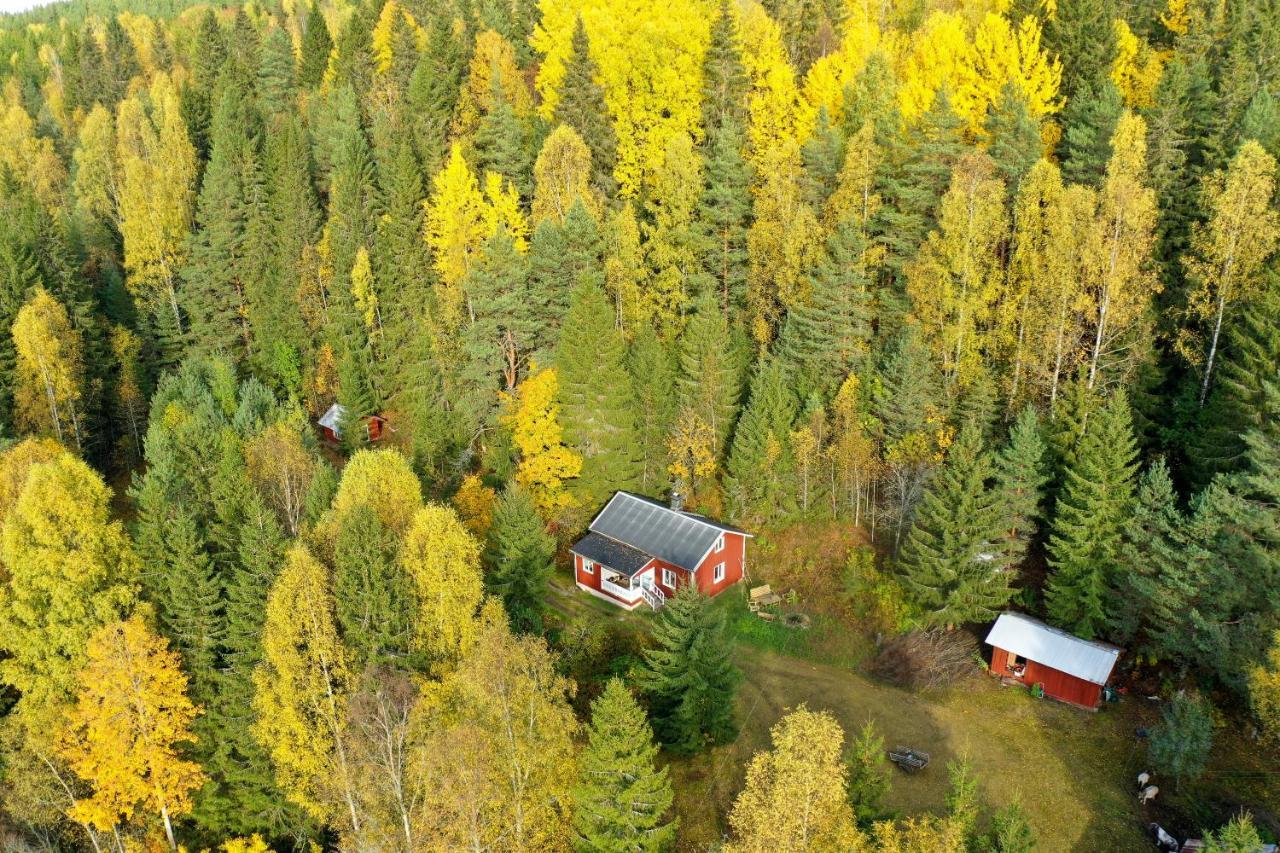 Ekshärad Little Forest House "Our Little Farm" מראה חיצוני תמונה